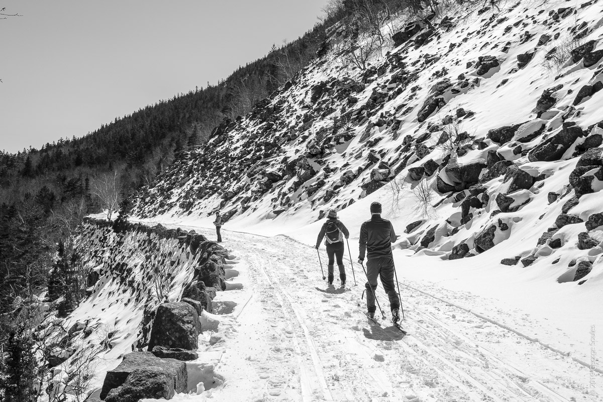 Skiers on a carriage road
